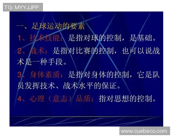 探索什么的足球：从技术战术到文化影响的全面解读